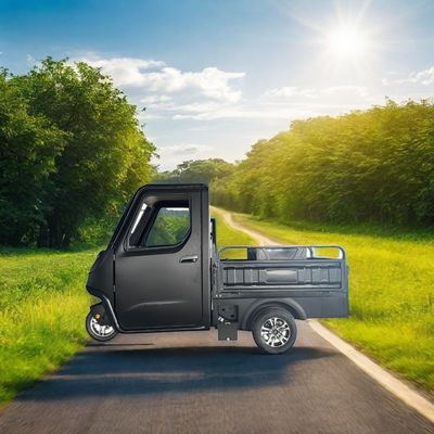 Optional 1000/1200/2000/3000W Elektro-Dreifahrräder für Familie-3-Rad-E-Bike und Pedicab