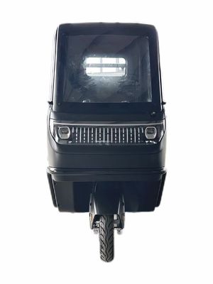 Optional 1000/1200/2000/3000W Elektro-Dreifahrräder für Familie-3-Rad-E-Bike und Pedicab
