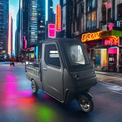 Optional 1000/1200/2000/3000W Elektro-Dreifahrräder für Familie-3-Rad-E-Bike und Pedicab