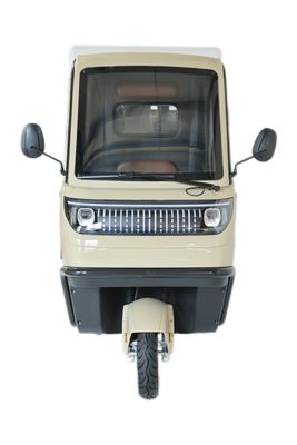 Elektrische Dreiräder 3-Rad E-Bike 3-Rad-Motorrad mit 70-90km Fahrleistung