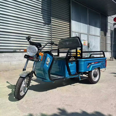 Schwerlastfrachttransport mit 3,75-12-Reifengröße 600kg 1000w 3-Rad-Elektro-Motorrad