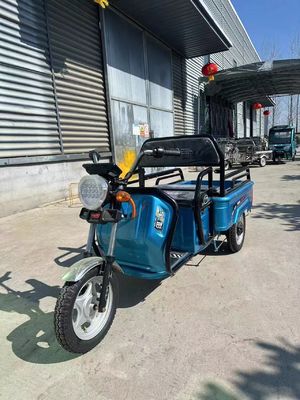 Custom Farm 1200W Elektro-Dreifahrrad-Motorrad mit Front-Trommel-Rücktrommel-Bremssystem