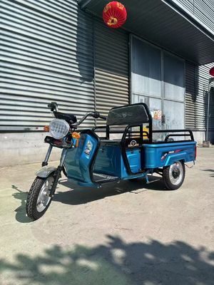Custom Farm 1200W Elektro-Dreifahrrad-Motorrad mit Front-Trommel-Rücktrommel-Bremssystem