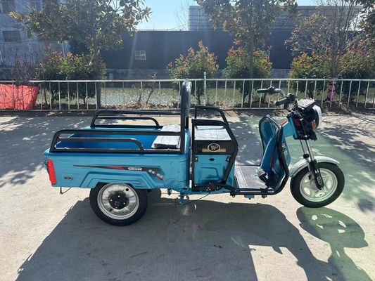 Custom Farm 1200W Elektro-Dreifahrrad-Motorrad mit Front-Trommel-Rücktrommel-Bremssystem