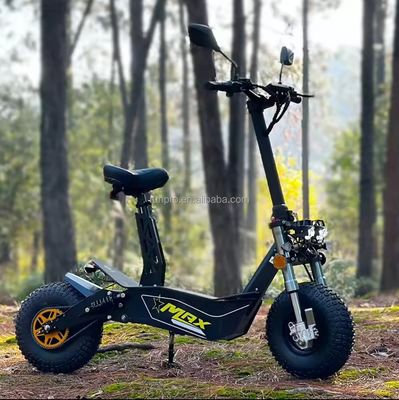 Offroad 2000W 3000W Mobilität Elektroroller COC EWG Bürstenloser Motor 10 Zoll Hub Motor Elektroroller Motorrad mit CE
