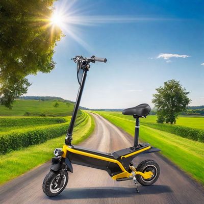350W/500W Batterie abnehmbare E-Scooter mit faltbarem Design und maximaler Reichweite von 35 km/45 km