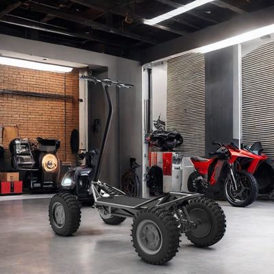 OEM Smart Digital Sensor Elektronisches Bluetooth 2kw 48V30ah Elektroroller für Offroad