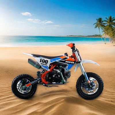 110cc 125CC 4-Takt-Handwerk für Kinder Renn-Pit-Dirt Bike mit 14/12 Stahlfelgen Räder