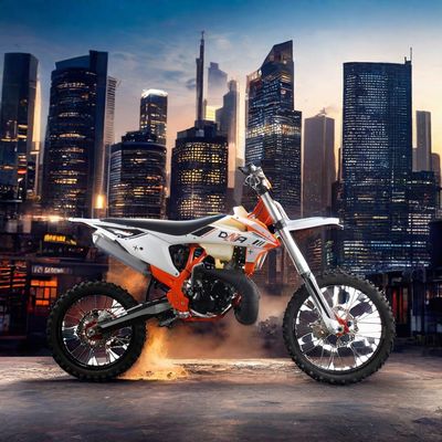 2-Taktmotor Kettenantrieb Erwachsenen Motorrad 250cc Off-Road Motocross Motorrad