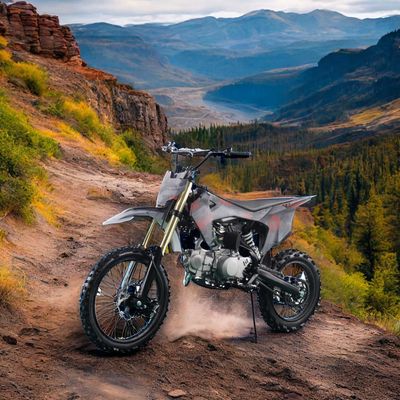 Elektrischer Start 110CC 125CC 4 Schlag DIRT BIKE Offroad Motorrad für Erwachsene und Kinder