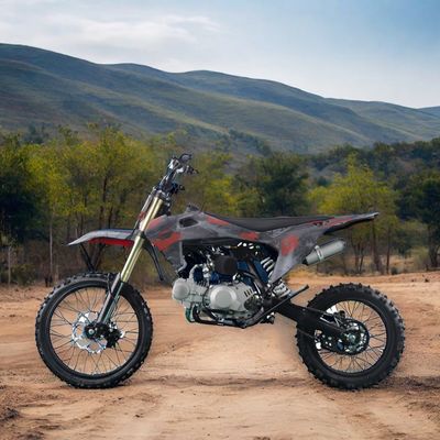 Elektrischer Start 110CC 125CC 4 Schlag DIRT BIKE Offroad Motorrad für Erwachsene und Kinder