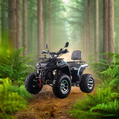 200CC ATV 250CC ATV Erwachsener ATV Quad Bike mit Kettenantrieb und 1000W elektrischem Pull Start