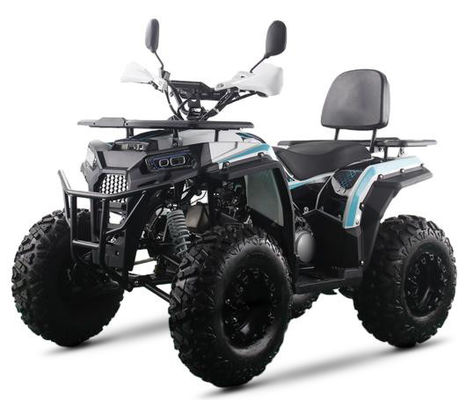 200CC ATV 250CC ATV Erwachsener ATV Quad Bike mit Kettenantrieb und 1000W elektrischem Pull Start