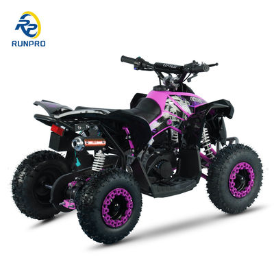 Räder Größe R 14*5.00-6 49CC AUTOMATISCH Mini Elektrostart ATV Quad Bike mit CE-Zulassung
