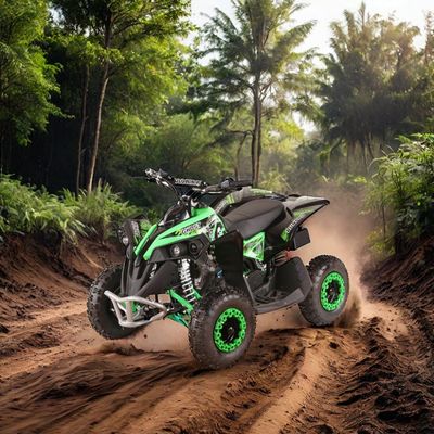 Räder Größe R 14*5.00-6 49CC AUTOMATISCH Mini Elektrostart ATV Quad Bike mit CE-Zulassung