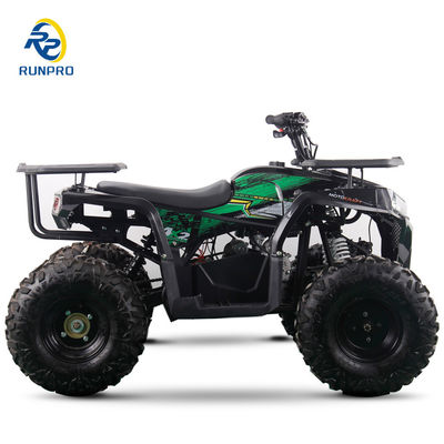 2WD All-Terrain Doppel-Vierräder Strand Buggy mit 100-200kg Nutzlastkapazität perfekt