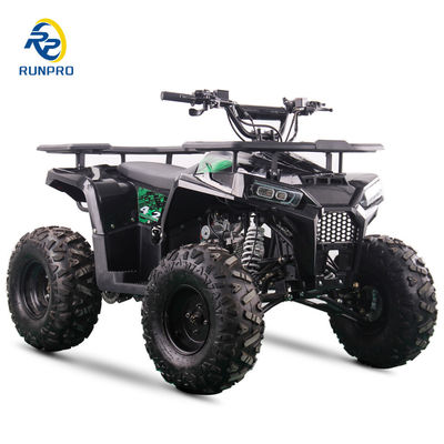 2WD All-Terrain Doppel-Vierräder Strand Buggy mit 100-200kg Nutzlastkapazität perfekt