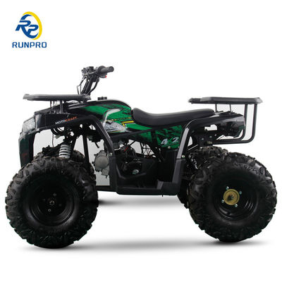 2WD All-Terrain Doppel-Vierräder Strand Buggy mit 100-200kg Nutzlastkapazität perfekt