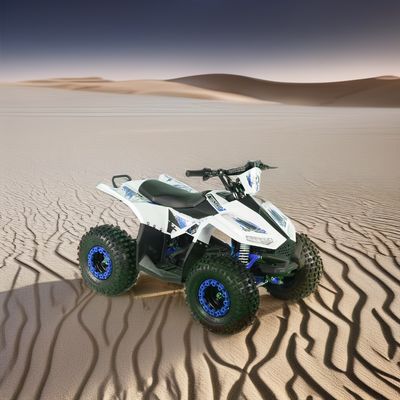 Brushless SHAFT DRIVE 1200W 48V Elektro-Vierradmotor Erwachsener Fahrrad Quad ATV für Rennen