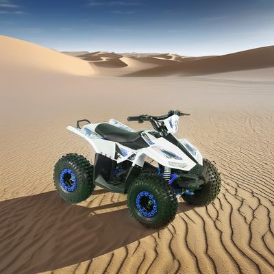 Kids Electric ATV Quad Bike mit Radstand 600-1000mm und Gesamtgröße 1250x760x800mm