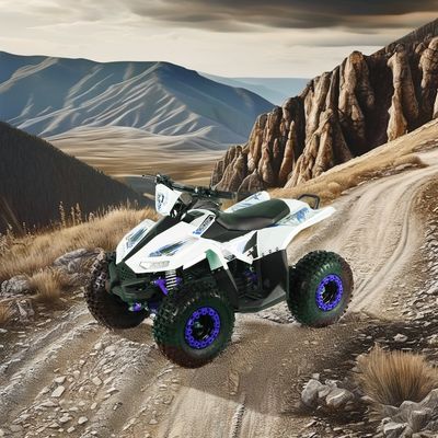 Kids Electric ATV Quad Bike mit Radstand 600-1000mm und Gesamtgröße 1250x760x800mm
