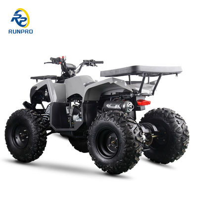 200cc Benzin-Elektro Start ATV Quad Bike Buggy UTV mit zuverlässiger Leistung
