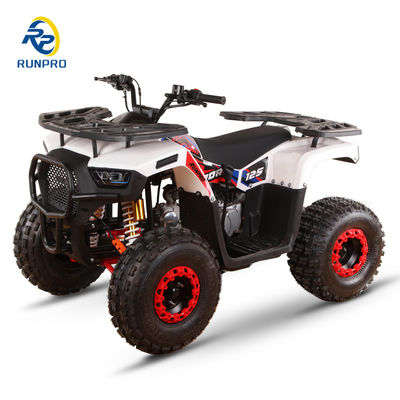 125cc 150cc Import ATV 4-Rad-Fahrzeug mit Automatikgetriebe und ≤10L Kraftstoffbehälter