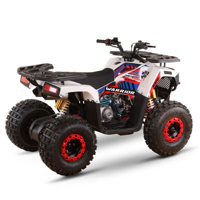 125cc Gasbetriebene ATV für Erwachsene Direkt hohe Leistungsfähigkeit ≥25° Hubraum 125cc