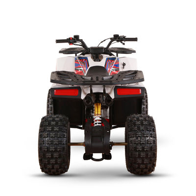 125cc Gasbetriebene ATV für Erwachsene Direkt hohe Leistungsfähigkeit ≥25° Hubraum 125cc