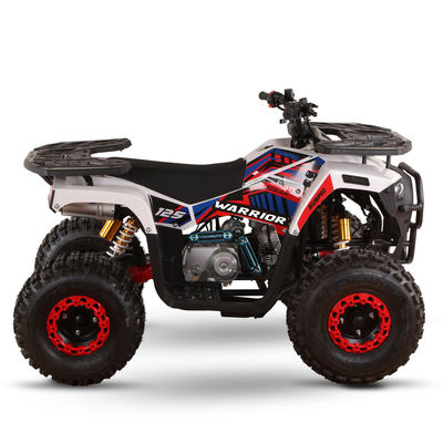 125cc Gasbetriebene ATV für Erwachsene Direkt hohe Leistungsfähigkeit ≥25° Hubraum 125cc