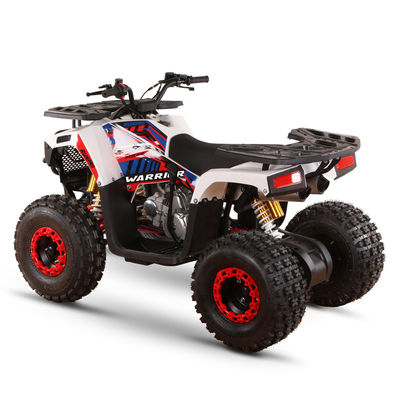 125cc Gasbetriebene ATV für Erwachsene Direkt hohe Leistungsfähigkeit ≥25° Hubraum 125cc