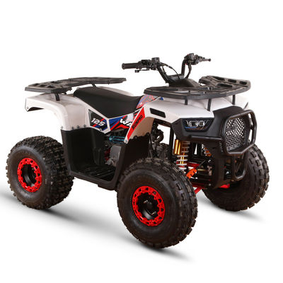 125cc Gasbetriebene ATV für Erwachsene Direkt hohe Leistungsfähigkeit ≥25° Hubraum 125cc