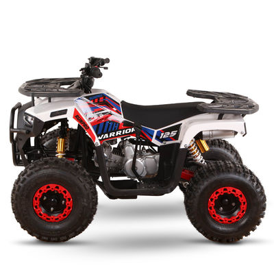 125cc Gasbetriebene ATV für Erwachsene Direkt hohe Leistungsfähigkeit ≥25° Hubraum 125cc