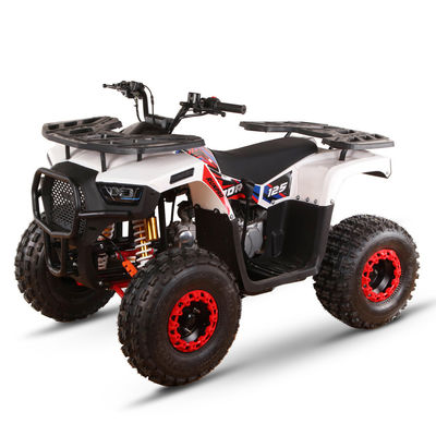 1000 Watt Automatikgetriebe 4x4 ATVs UTVs Offroad Farm Motor 150cc Vierräder