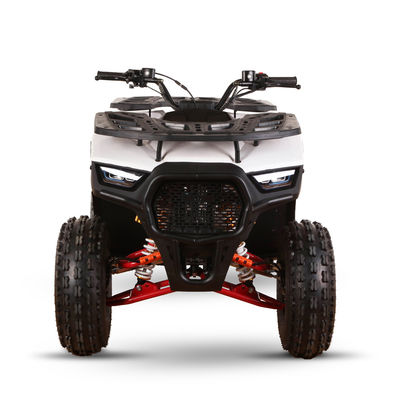 125cc Vierradfahrrad für Offroad-Abenteuer Höchstgeschwindigkeit 50-75Km/h 1 Zylinder