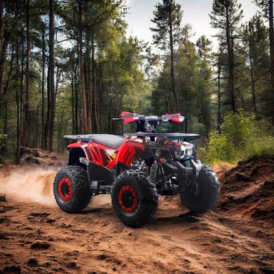 Leistungsstarke 125cc Gas-Fuel ATV Quads mit 2WD-Fahrtyp und interessante Eigenschaften