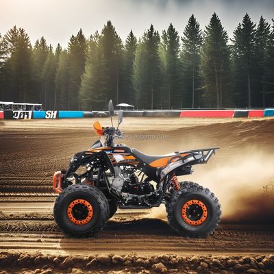 2024 Direct 125CC 2WD ATVs Automatisches Getriebe Achsantrieb 4-Takt Quad Bike Treibstoffgas