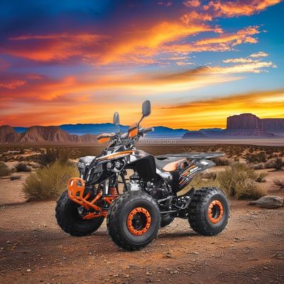2024 Direct 125CC 2WD ATVs Automatisches Getriebe Achsantrieb 4-Takt Quad Bike Treibstoffgas