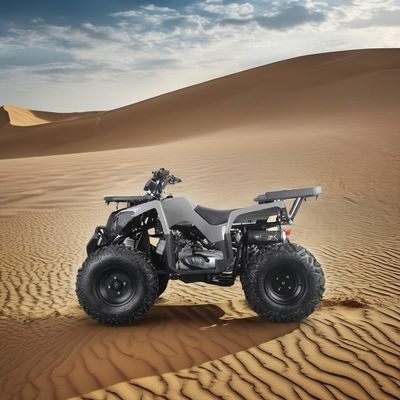 Kraftvoller 200cc Gas ATV für Erwachsene Maximaldrehmoment von 40-60Nm und Höchstgeschwindigkeit von 75km/h