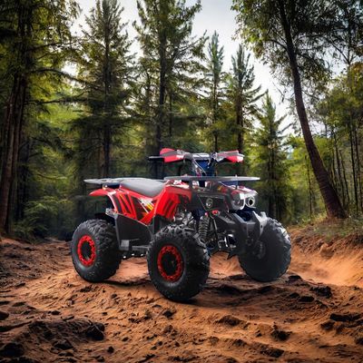 Erwachsene Kinder Stahl 2WD 12V elektrische manuelle Kettenantrieb mit Rückwärtsgetriebe 125cc automatische ATV Quads