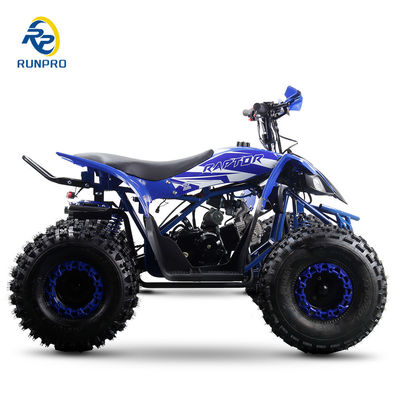 2024 4-Rad-All-Terrain-Fahrzeug ATV mit 125 cc Hubraum