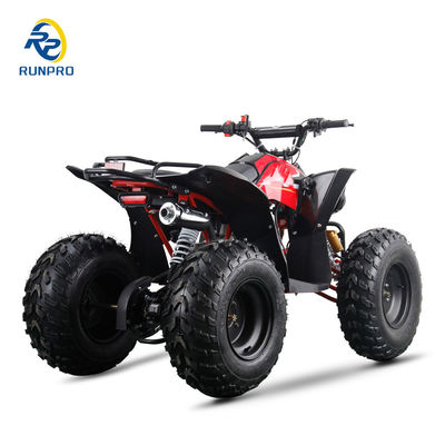 Erwachsener Benzin Runpro ATV Elektro Start mit 10 Zoll Reifen ATV UTV Landwirtschaftsmotor 4 Räder Quad Moto Bike 1000W