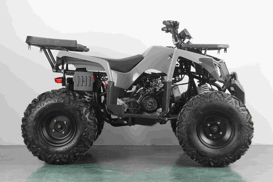 All-Terrain 200cc Benzin Erwachsener ATV mit Automatikmotor und 10 Zoll Stahlräder