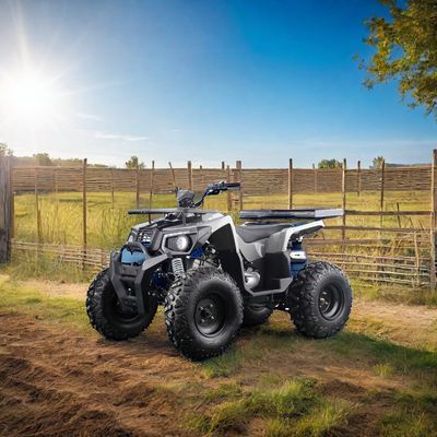 All-Terrain 200cc Benzin Erwachsener ATV mit Automatikmotor und 10 Zoll Stahlräder