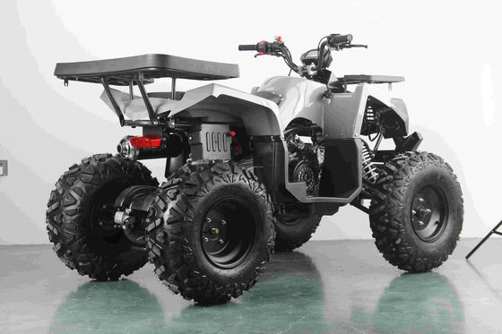 All-Terrain 200cc Benzin Erwachsener ATV mit Automatikmotor und 10 Zoll Stahlräder