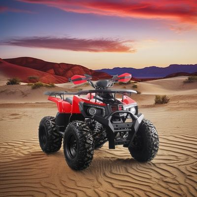 2024 Runpro 10 Zoll Stahlreifen 200cc ATV mit LED-Licht Lassen Sie Ihren inneren Abenteurer frei
