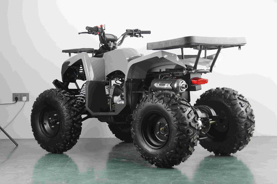 Offroad 10-Zoll-Reifen 200CC 250CC Erwachsener Quad ATV mit automatischem Start und Kettenantrieb