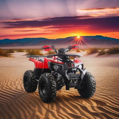 Offroad 10-Zoll-Reifen 200CC 250CC Erwachsener Quad ATV mit automatischem Start und Kettenantrieb