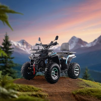 RUNPRO 200CC ATV Quad Bike für Erwachsene Elektrische Zugstart und Automatikgetriebe