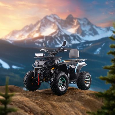 RUNPRO 200CC ATV Quad Bike für Erwachsene Elektrische Zugstart und Automatikgetriebe